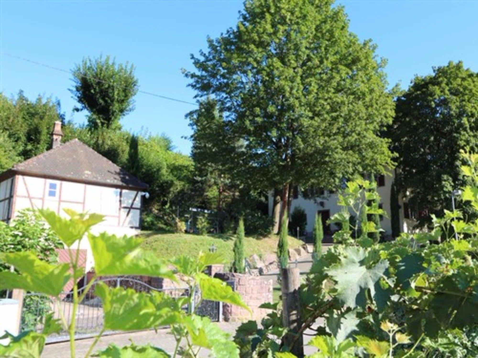Gesindehaus Charis Villa Kippenheim Exteriör bild